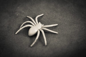 Image of a white spider